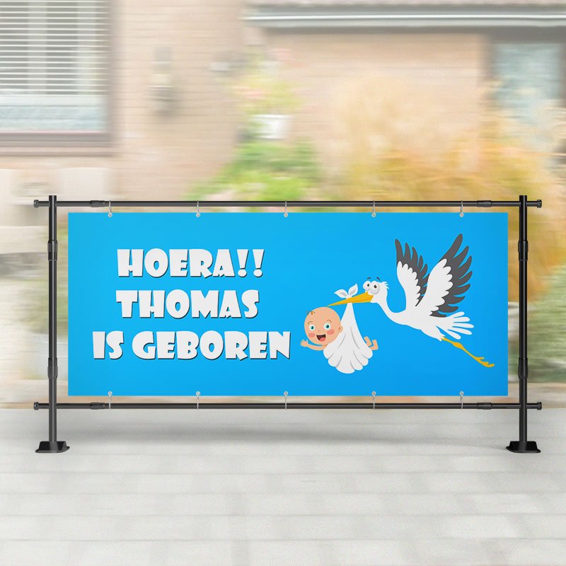 Spandoek Geboorte - Koning Spandoek